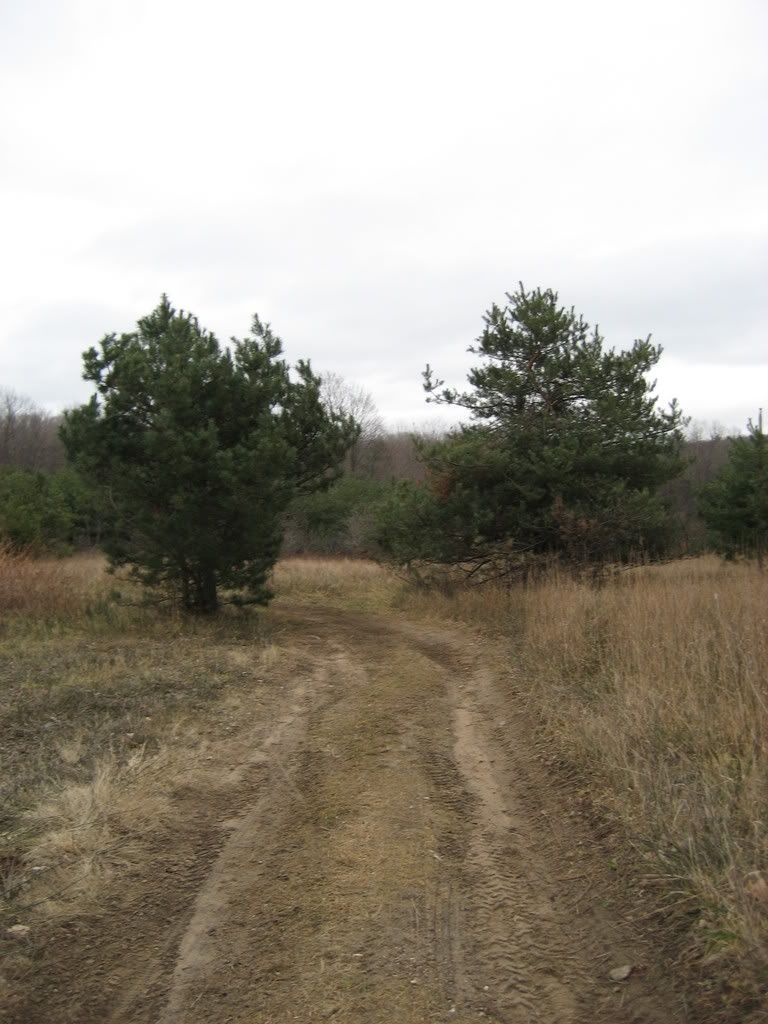 127 Dirt Road