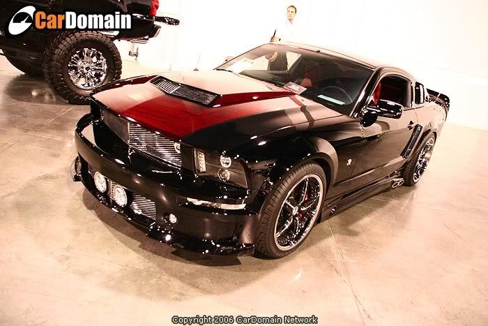 2007FordRoushMustangGT.jpg 2007 Ford Mustang GT image by TONYT12