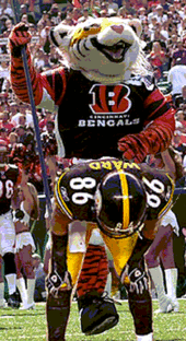 bengals-steelers.gif