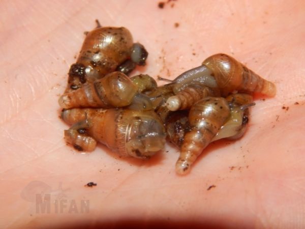 34f18b96-4809-4a40-a4ce-d358402c06ff_zps