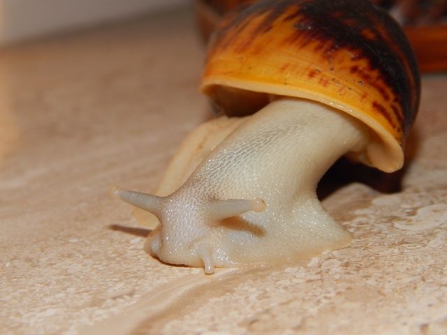 DSCN1352_zpsae2d7b36.jpg