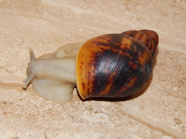 DSCN1357_zps3c0cb441.jpg