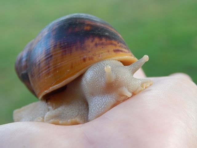 DSCN1369_zpsc9de621e.jpg
