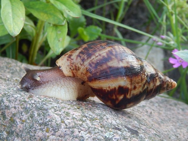 DSCN4782_zps6ff53d82.jpg