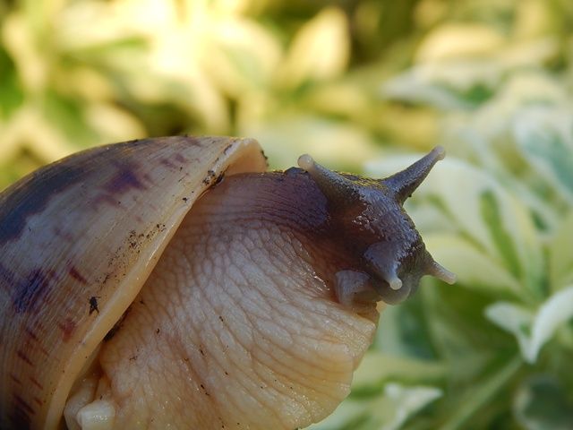 DSCN4786_zpsc4085127.jpg