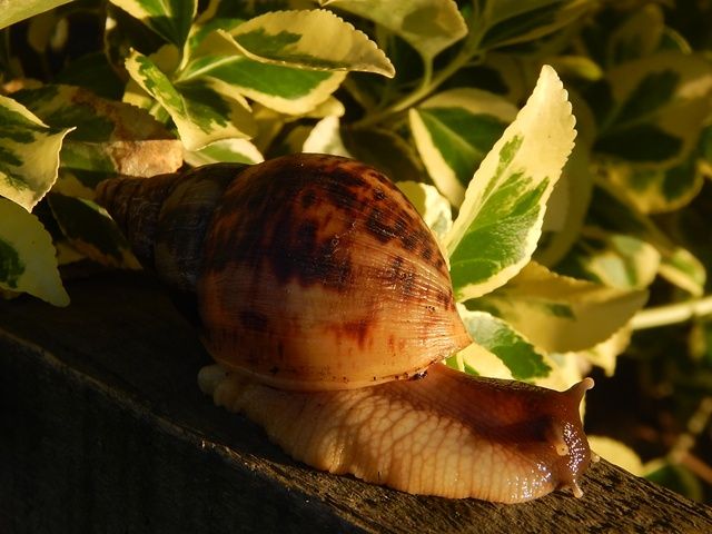 DSCN4792_zps1c721153.jpg