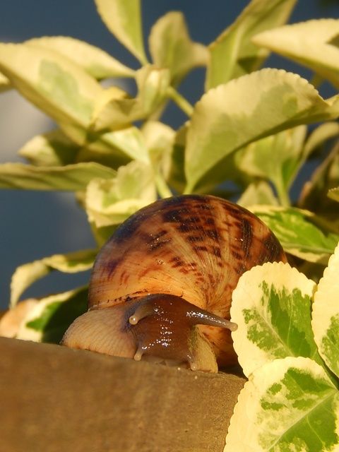 DSCN4793_zpsa072d330.jpg