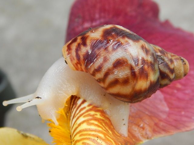 DSCN6265_zps14fbb9f5.jpg