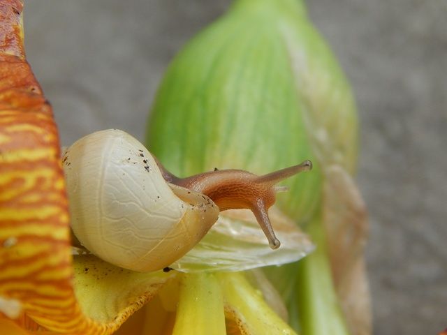 DSCN6269_zps5d7bb4c8.jpg