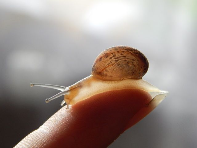 DSCN7757_zpsad91e025.jpg