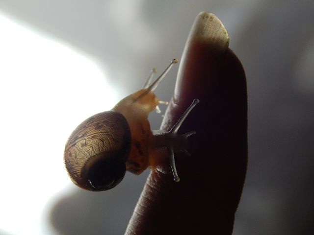 DSCN7782_zps854dd3b7.jpg
