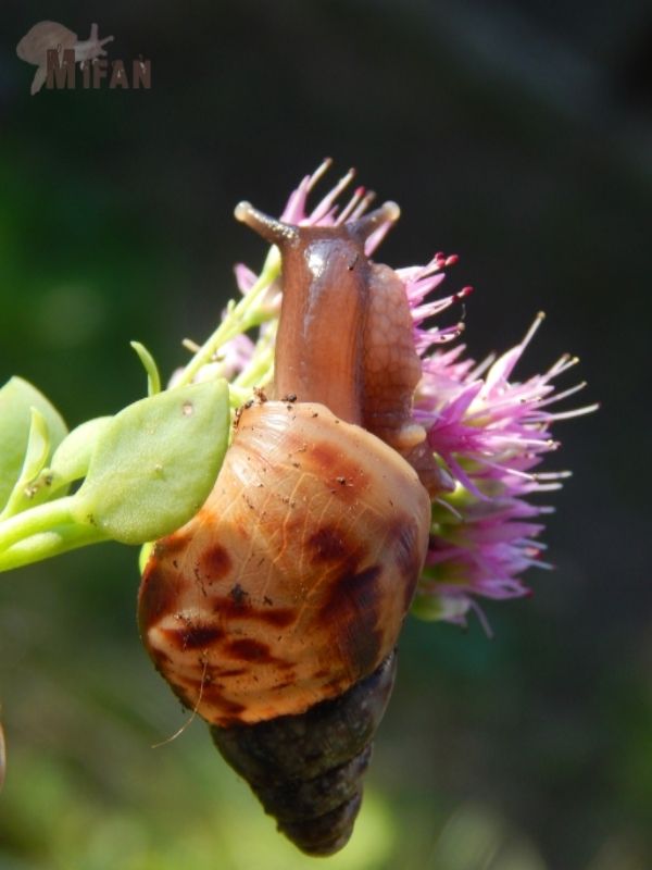 e7d4be5d-46fd-4147-9bb1-738123abb373_zps