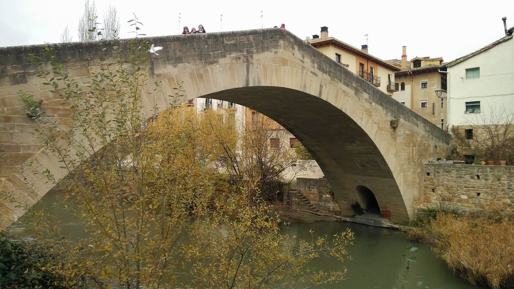Puente la Reina - Estella - Artajona - Tudela - Navarra en 5 días, Diciembre 2017 (5)