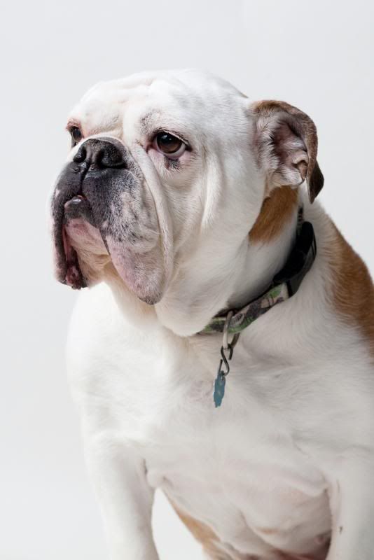 IMAGE: http://i133.photobucket.com/albums/q71/HeleneD1971/IMG_0052-1.jpg