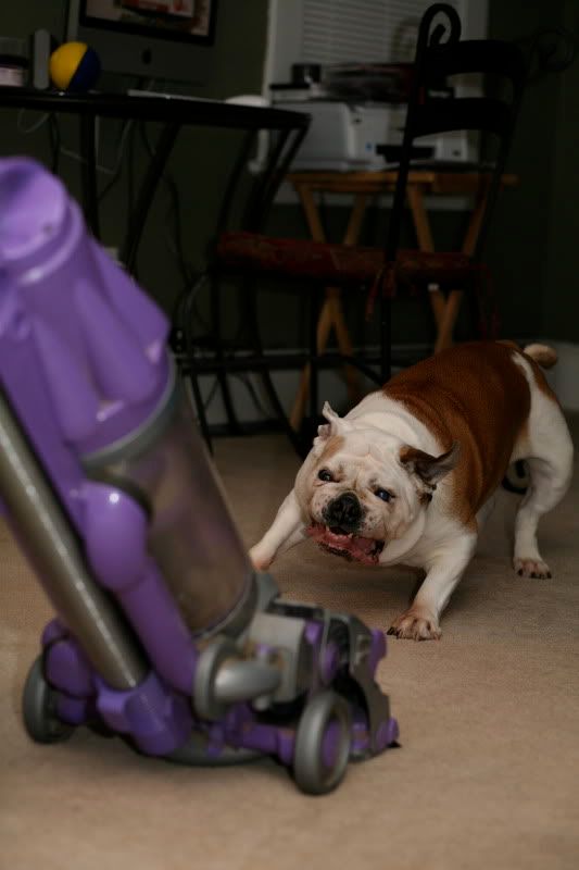 IMAGE: http://i133.photobucket.com/albums/q71/HeleneD1971/IMG_0095.jpg