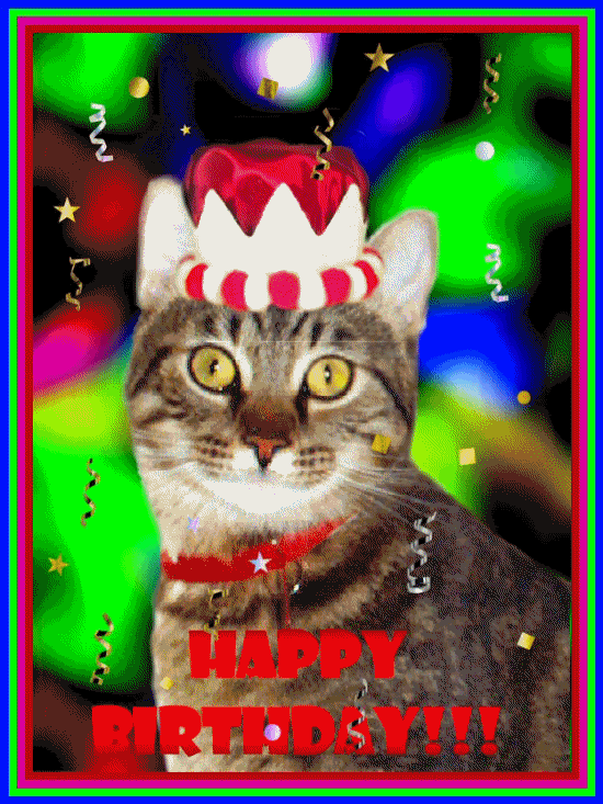 birthdatcat.gif