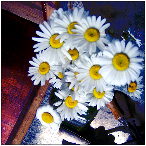 flowers_copy4.png