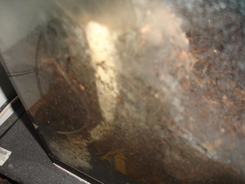 DSC07989.jpg