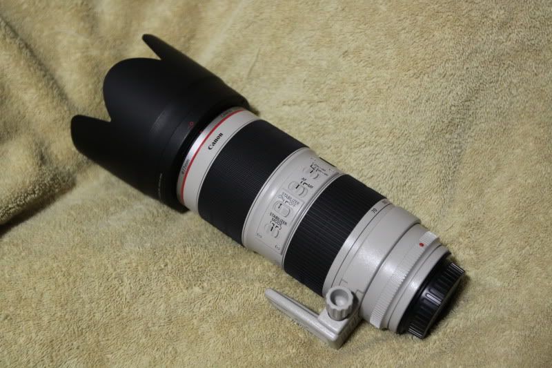 IMAGE: http://i133.photobucket.com/albums/q76/keakster/IMG_2737.jpg