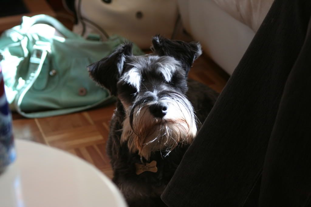 IMAGE: http://i133.photobucket.com/albums/q77/Road_Rebel/IMG_0016.jpg