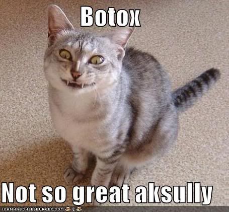 funny-pictures-botox-cat.jpg