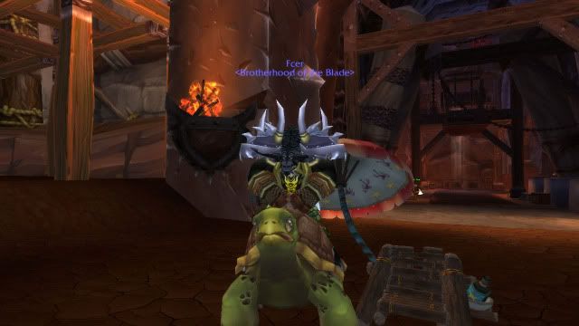 WoWScrnShot_111011_164157.jpg