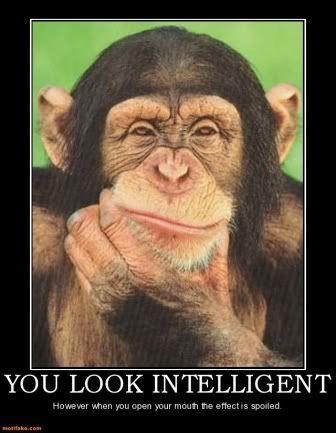you-look-intelligent-dumby-demotivational-posters-1295550655.jpg