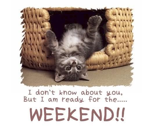 meow weekend
