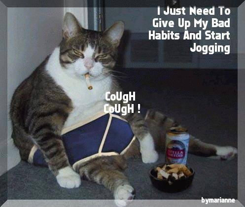 cat1ht1.png Fat kitty image by lilkaninchen