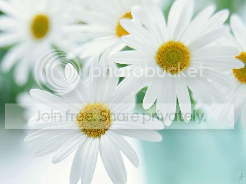 4854425_flower09.jpg