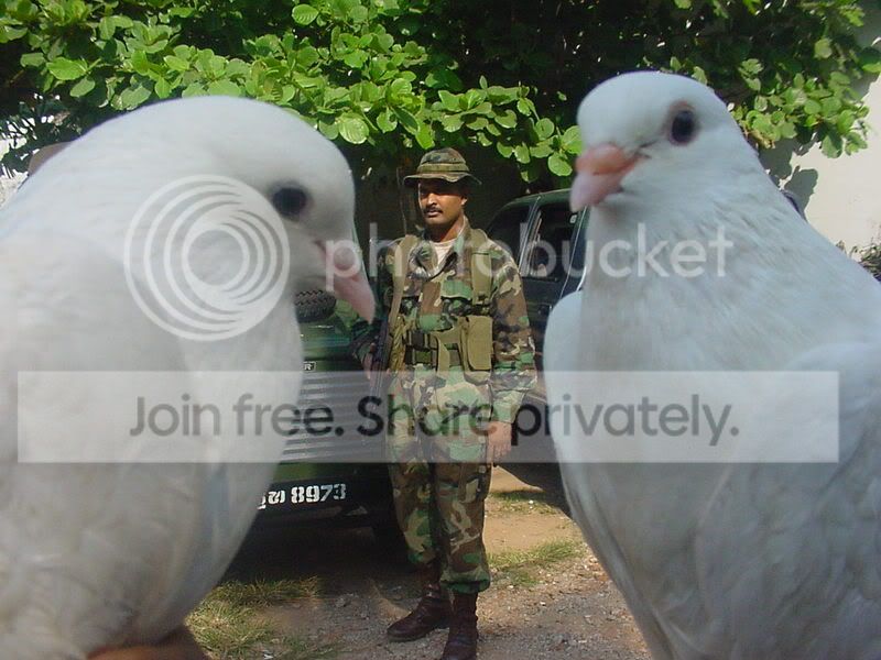 NewYear2.jpg