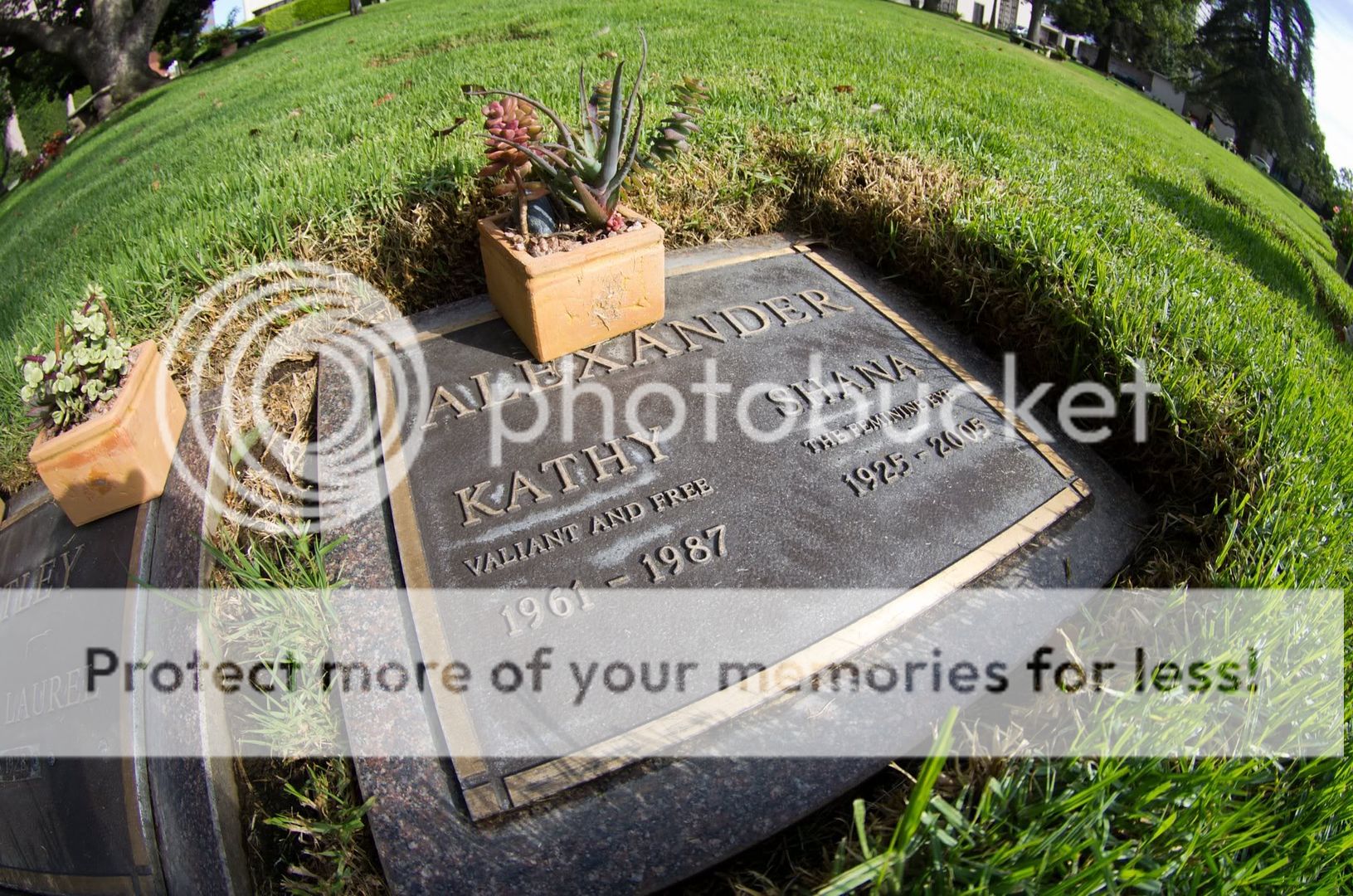 Ford rainey grave #9