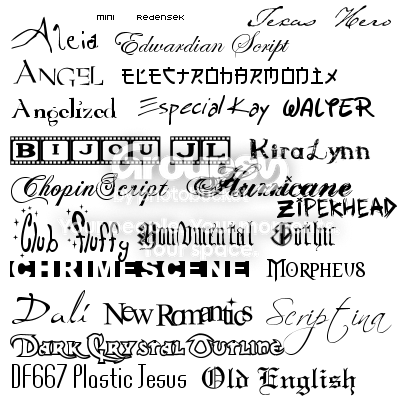 User Image